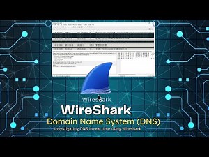 Domain Name System DNS | Secret behind working of Websites in real-time | Investigating DNS Protocol