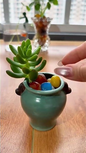 💕💕🌱Rainbow stones + succulents, simply welds the "healing power" onto the tabletop! #Life Aesthetics