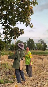 มีเจ้าของอยู่เด้อจ้า #สนุกสนาน #funny #เฮฮาขำๆ #comedy #วิถีชาวบ้าน