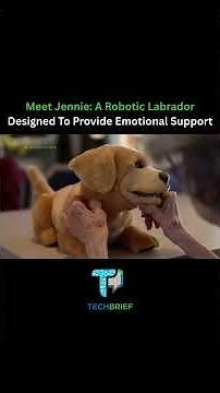 Meet the robotic dog designed for seniors living with dementia #ai #tech #technews