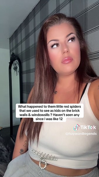 Exploring the Mystery of Childhood Red Spiders