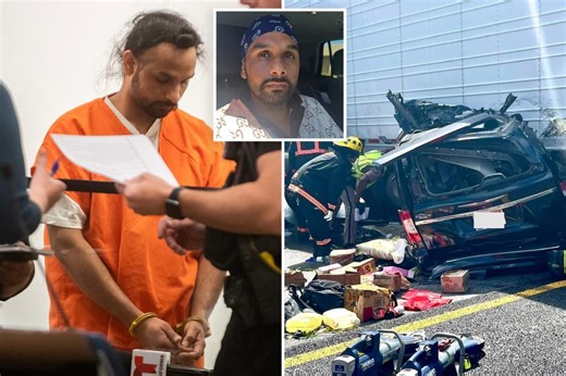 Petition supporting illegal migrant trucker accused of killing 3 people gets 2.2 million signatures