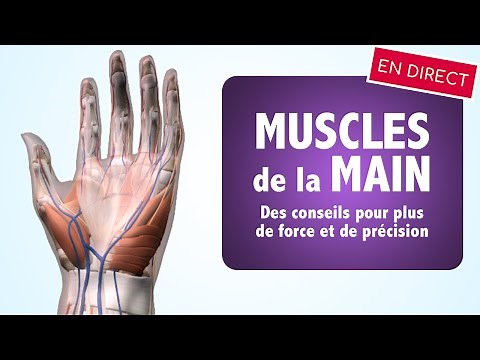 Muscles de la main: des conseils pour plus de force et de précision