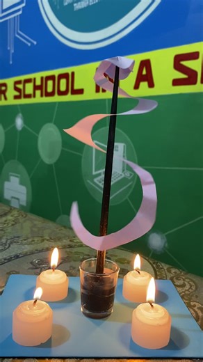 成功的教学实验演示！