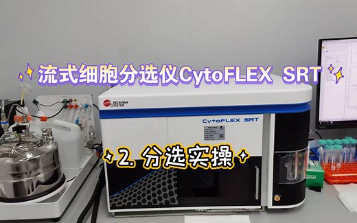 流式细胞分选仪CytoFLEX SRT 第2讲: 分选实操
