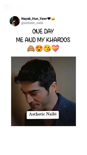 Exploring Asthetic Naibi Trends