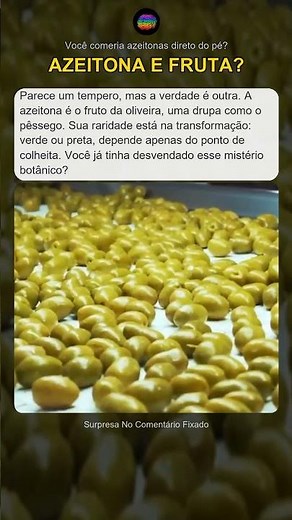 Azeitona é uma fruta? 🫒 A verdade por trás do mito! #curiosidades #misterio