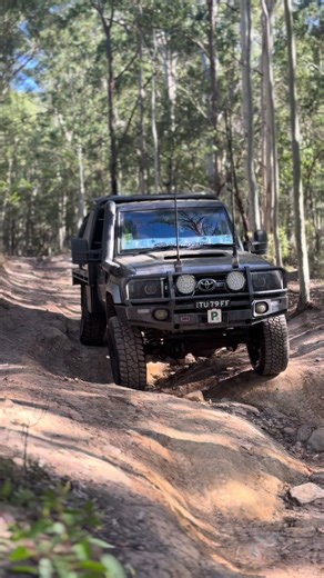 Exploring the 79 Series Land Cruiser with RGB Lights