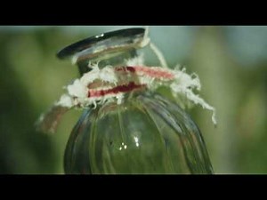 R.CAN INVITE-MOI CLIP OFFICIEL