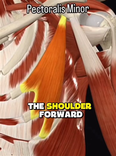 Effective Virtual Shoulder Rehab for Pain Relief