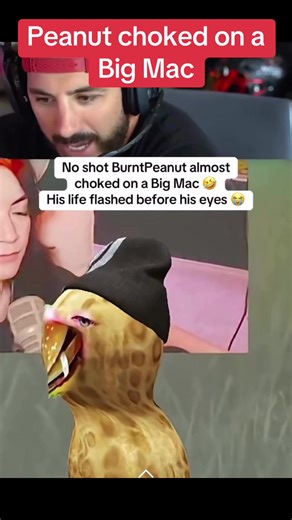 #arc #arcraiders #gaming #peanut #shroud