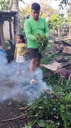 Cleaning around the pig house #shorts #farming