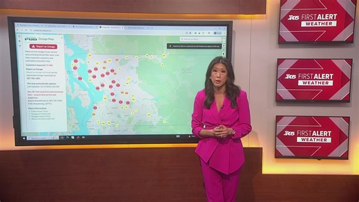 A closer look at power outages across the region