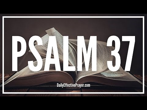 Waiting For God | Psalm 37 (Audio Bible Psalms)