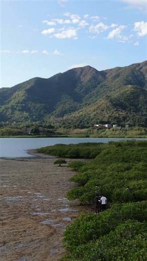 Discover the Beauty of Mudflats: Aerial Footage! 🌊📸