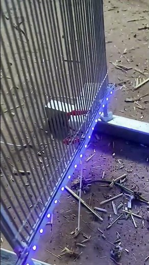 DIY Bug Zapper with Satisfying Sparks! ⚡⚡