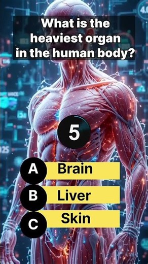 240 Are you ready to challenge your mind? 🧠✨ Let's see how well you know the world! 🌍✨ Join the quiz