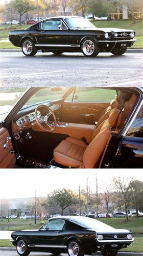 This is car #207, a Revology 1965 Mustang GT 2 2 Fastback in Porsche Jet Black Metallic with Ferrari Cuoio leather interior. The Revology 1965 and 1966 Mustangs have very subtle differentiation—the Revology 1965 GT models feature the honeycomb grille and the standard Mustang fuel cap, while the 1966 models have the horizontal bar grille and GT fuel cap. All Revology 1965 and 1966 GT models feature styled aluminum wheels, GT badges and side stripe, and exhaust tips exiting through the rear valanc