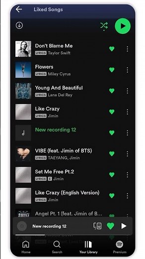 How to find your Liked Songs on Spotify