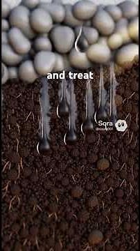 Ever Wondered how an Engineered Septic System Works?