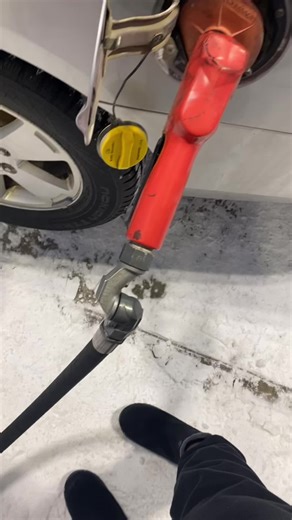 #raven #beautiful #friends #canada | Raven