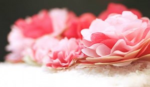 206K views · 55 reactions | Pretty punched paper flowers... say that...