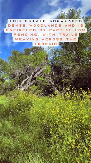 Luling Texas Ranch. Unveil the unmatched potential of Smith Creek Ranch. A pristine 44 acre (44.85 ACRES) estate poised for commercial, residential, or recreational development. Nestled near Luling, just south of Highway 80 and a stone’s throw from I-10, this property offers unparalleled accessibility. Guadalupe County I $799,000 I 44 AC For more details, visit the link at: jamesbigleyranches.com/properties/luling-texas-ranch-smith-creek-ranch/ Send us a DM at: instagram.com/jamesbigleyranches/ 