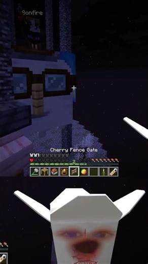 Bro where did he come from #minecraft