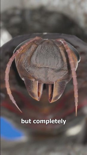 Turning Cockroaches Into Zombies 😨