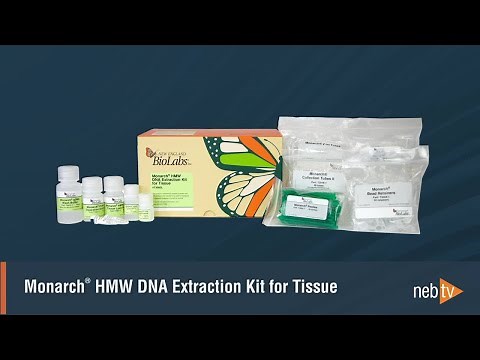 Monarch HMW DNA Extraction from Tissue: Protocol Overview