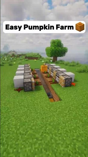 Minecraft Auto Pumpkin Farm Tutorial🎃