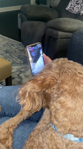 Buster missed his bus day last week. He is catching up on all the things he missed out on. Watch the whole thing 😂😂 | The Storybook Bus