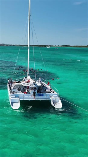 From the track to the sea, who’s ready for a pit stop in The Bahamas? #MSCCruises