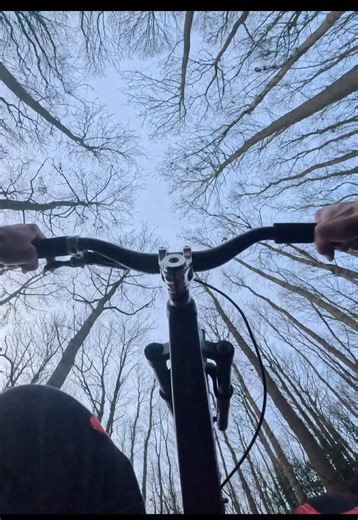 Backflip pov at bestwood #mtb #50to01⚡️ #backflip #gopro #pov
