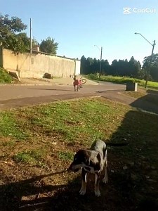 29 de março de 2026