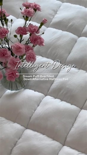 Cozy up in style with these dreamy picks from Intelligent Design ✨