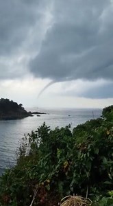 To license this content please click here: https://www.jukinmedia.com/licensing/view/1354377?utm_source=RMsocialpost&utm_medium=RMsocialpost | Jukin Copyright Management | Facebook