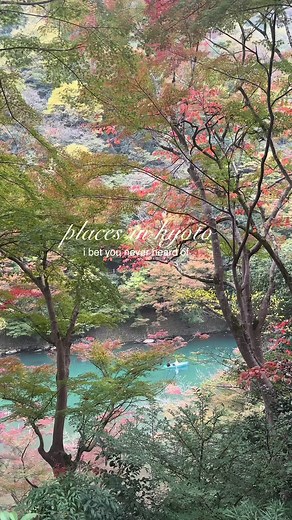 Kyoto's Hidden Gems: Explore Beyond the Tourist Spots