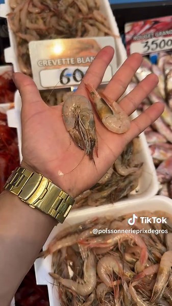 Bonjour 😍Mardi 29 juillet 2025 ‎‏‎‏‎‏Soyez les bienvenus 🐟🦐🥰 ‎‏‎‏‎‏ Livraison 🛵disponible : principale :0552534861 0540337191#poisson