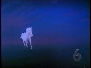 Format Screen/TriStar Pictures (1990s/1991)