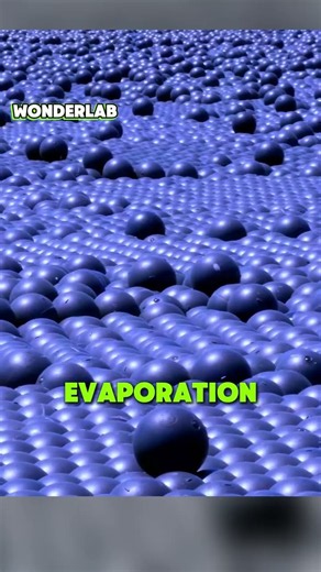 Why Scientists Dumped 96 Million Balls in Water #shorts #experiment