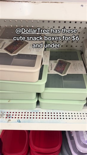 Discover Affordable Snack Boxes at Dollar Tree