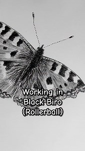 Working with biro pen (rollerball) is fun, easy, and accessible. Why not give it a go? | The Artery Art Shop and Classes