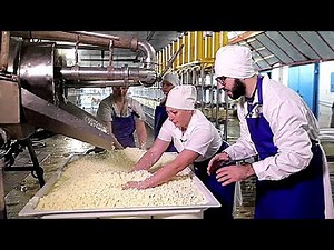 How Cheese is ACTUALLY Made // Inside a Cheese Factory
