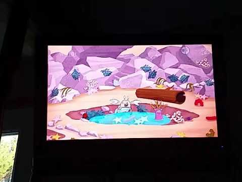 Nature cat tries to be Tide pool tough