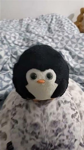 seal pillow #warcrazyness