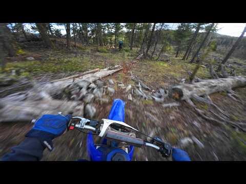 YZ250 2 STROKE | Mountain Single Track