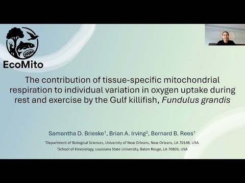 EcoMito Journal Club - September 2025 - Samantha Brieske