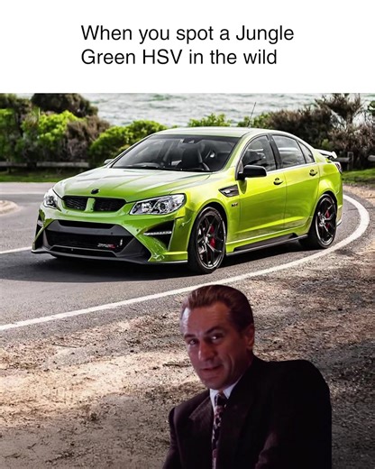 31K views · 679 reactions | Ah that Jungle Green   | @aussiemusclecars1 | HSV - Holden Special Vehicles | Facebook