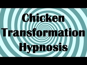 Chicken Transformation Hypnosis